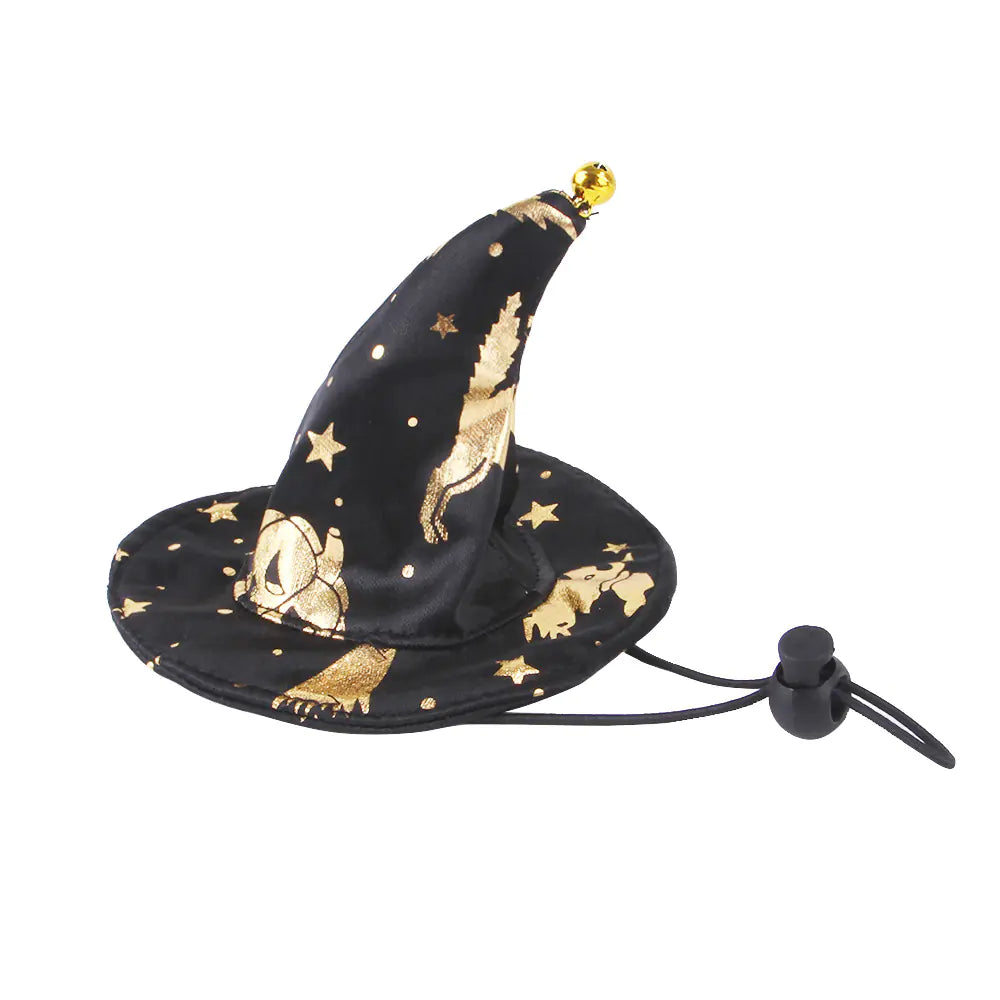 Pet Wizard Cloak Sorceress Sanctuary