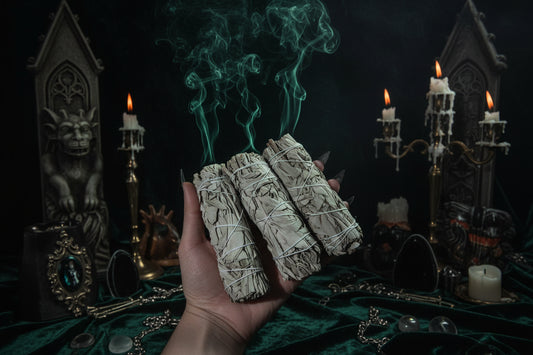 Thick White Sage - Sorceress Sanctuary 1 Piece