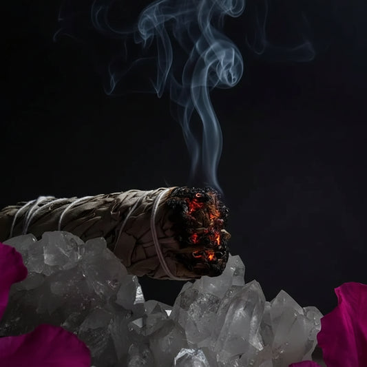 Thick White Sage - Sorceress Sanctuary 1 Piece