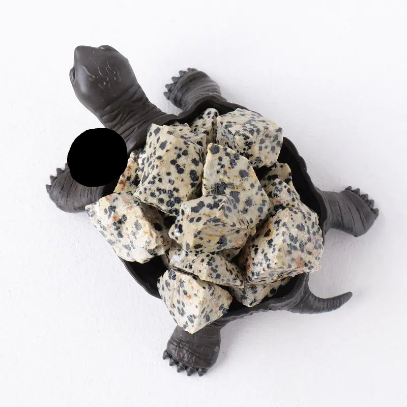 Tortoise shell with stone-like texture on a white background
