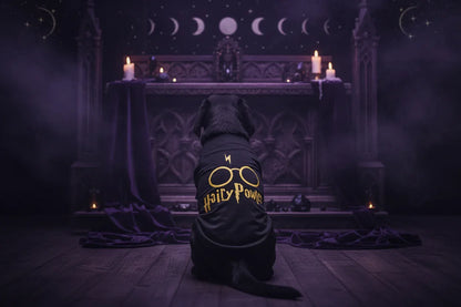 Witch Cat Vest - Sorceress Sanctuary Black / XS-Black / S-Black / M-Black / L