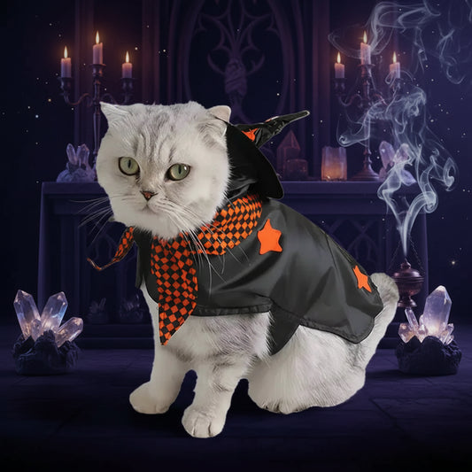Witch Pet Costume - Sorceress Sanctuary S-M
