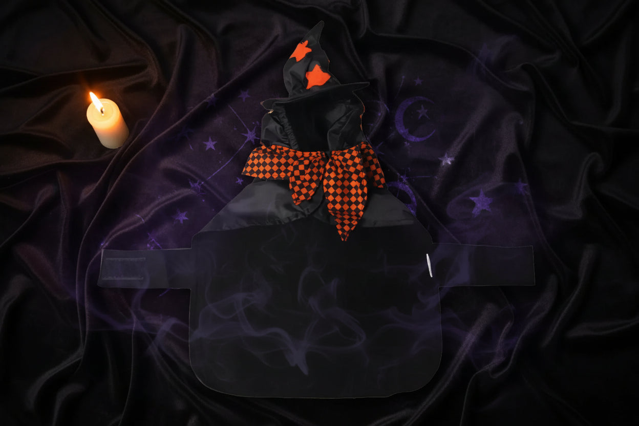 Witch Pet Costume - Sorceress Sanctuary S-M