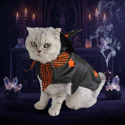 Witch Pet Costume - Sorceress Sanctuary S-M