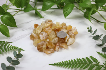 White plate with amber-colored stones and a coin for scale on a wooden surface