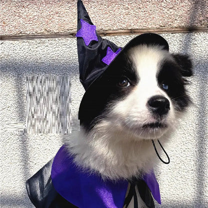 Pet Wizard Costume Set Sorceress Sanctuary