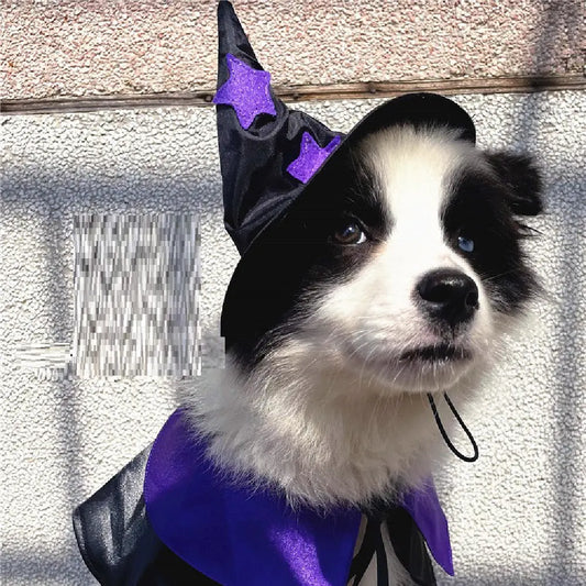 Pet Wizard Costume Set