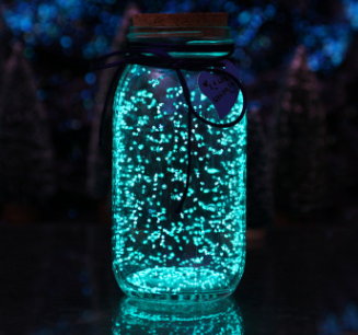 Mystical Wish Bottle