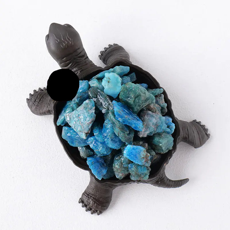 Tortoise-shaped container filled with blue stones on a white background