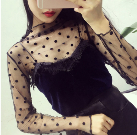 Sheer Lace Long Sleeve Crop Top Mesh Layering Piece