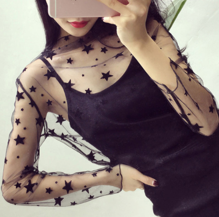 Sheer Lace Long Sleeve Crop Top Mesh Layering Piece