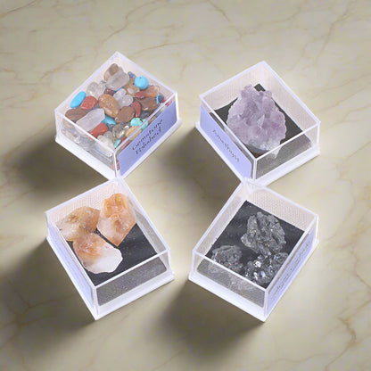 Four small boxes containing different types of rocks and minerals on a white background