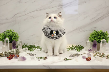 Black Fairy Pet Scarf with Lace Details Sorceress Sanctuary