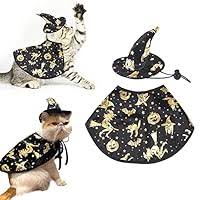 Pet Wizard Cloak Sorceress Sanctuary
