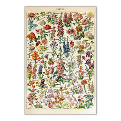 Vintage Mushroom Biology Poster