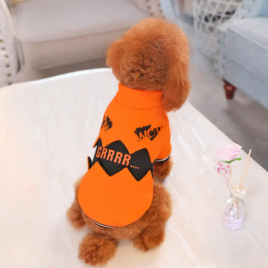 Small dog wearing an orange halloween shirt with black text and designs on a white surface.
