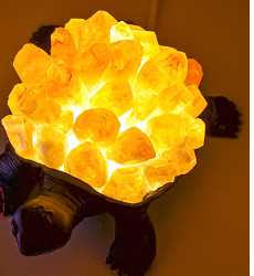 Natural Crystal | Turtle Figurine Sorceress Sanctuary