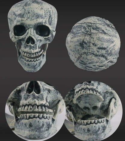 Realistic Skull Decor