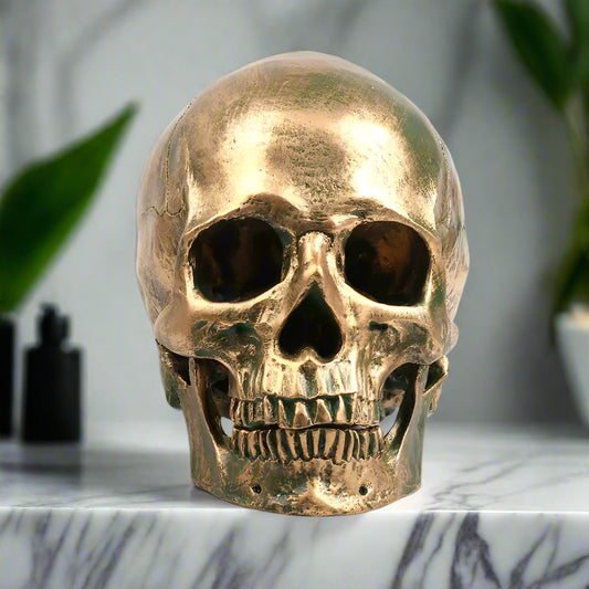 Bronze skull sculpture on a white background