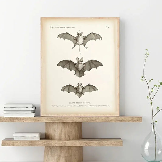Vintage Bat Print