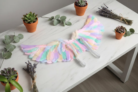 Pastel-colored angel wings on a black background