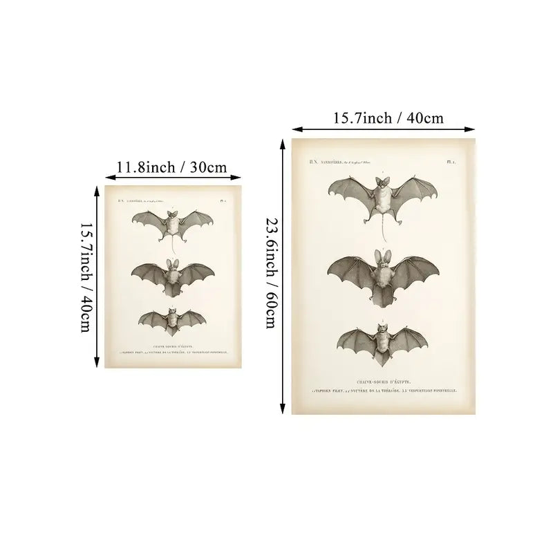 Vintage Bat Print