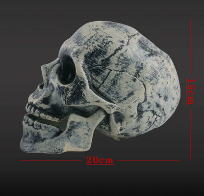 Realistic Skull Decor