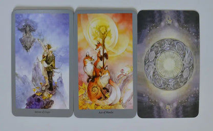 Witches Tarot Cards
