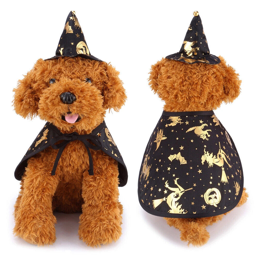 Pet Wizard Cloak Sorceress Sanctuary