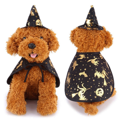 Pet Wizard Cloak Sorceress Sanctuary