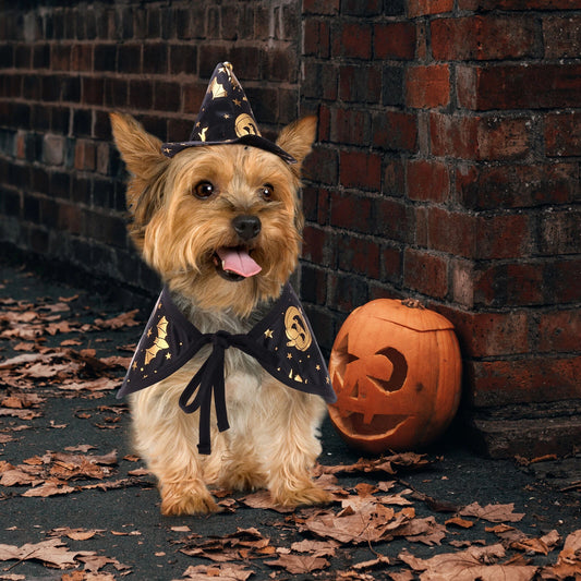 Pet Wizard Cloak