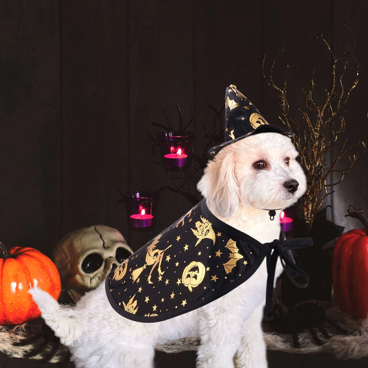 Pet Wizard Cloak