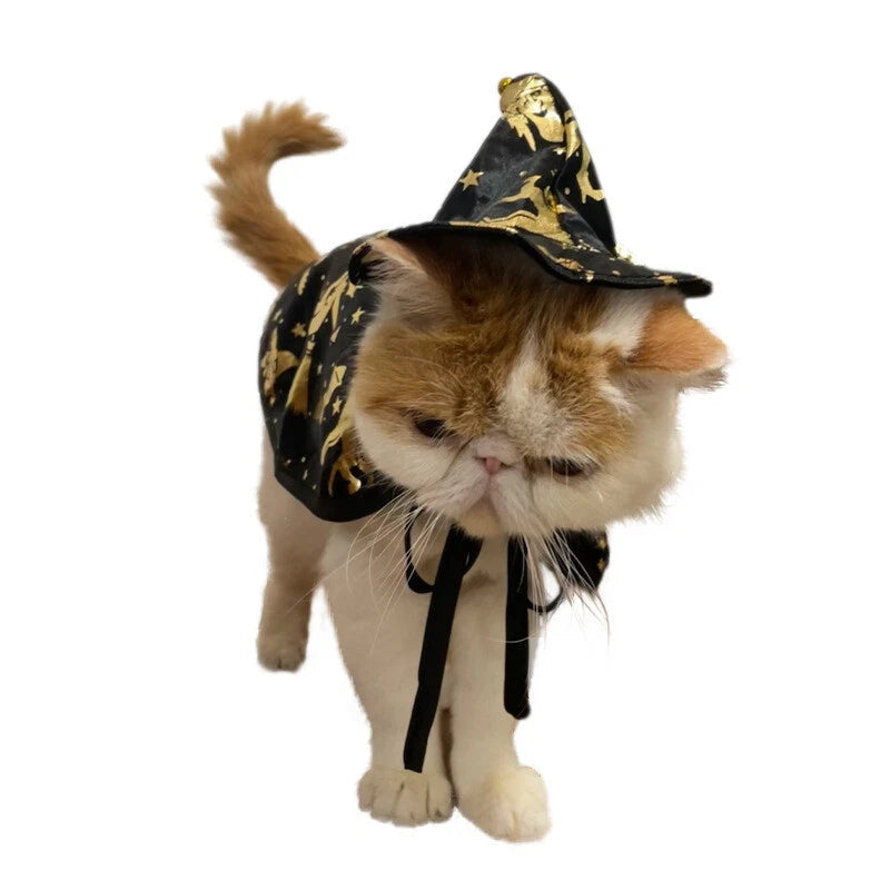 Pet Wizard Cloak Sorceress Sanctuary