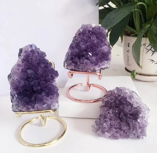 Three purple crystal formations on stands with a plant in the background