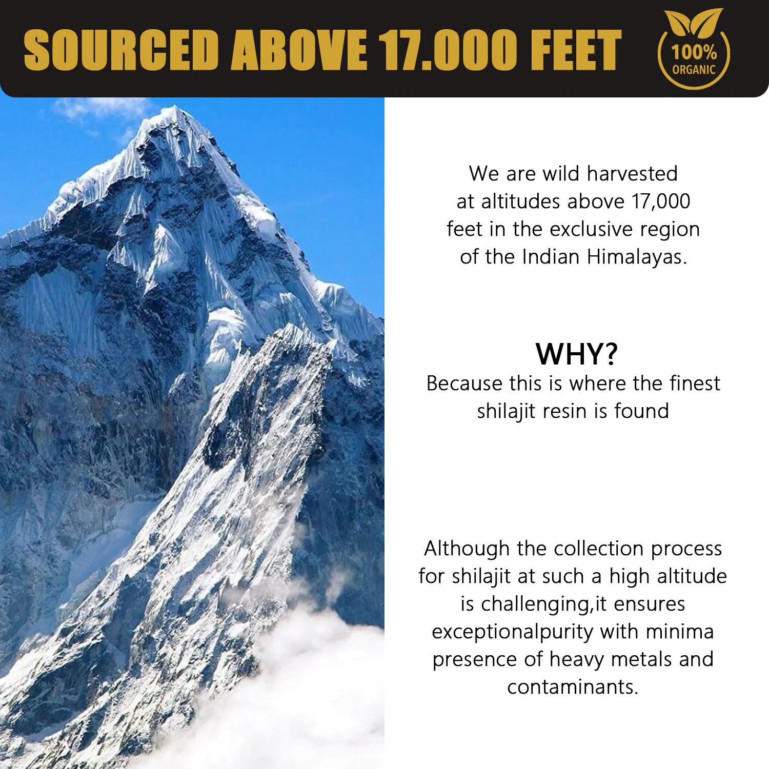 Mountain peak with text about shilajit sourcing above 17,000 feet in the Indian Himalayas.