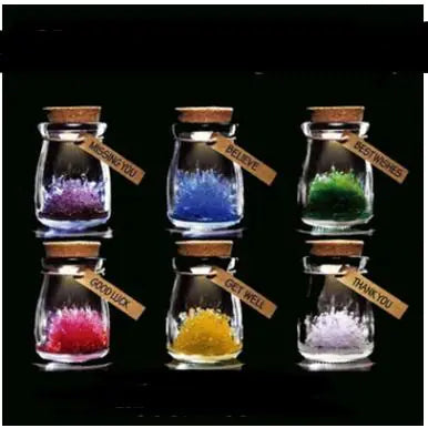 Wishing Elf Crystal Bottle