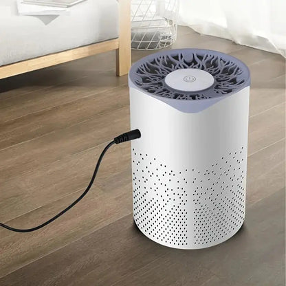 Portable Air Purifier | Smoke & Dust Removal