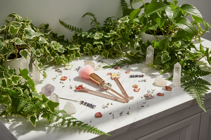 Alice In Wonderland | Makeup Brush Set