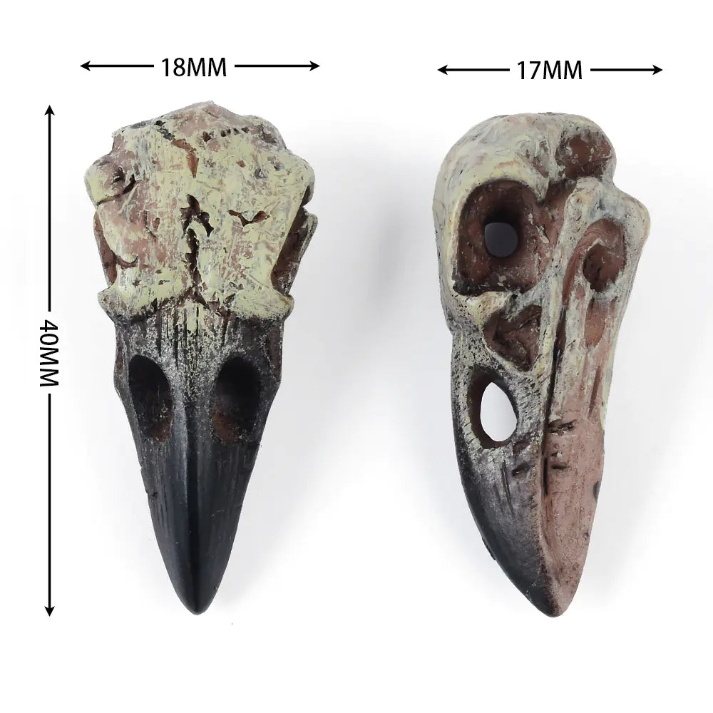 Two fossilized bird beaks with measurements on a white background