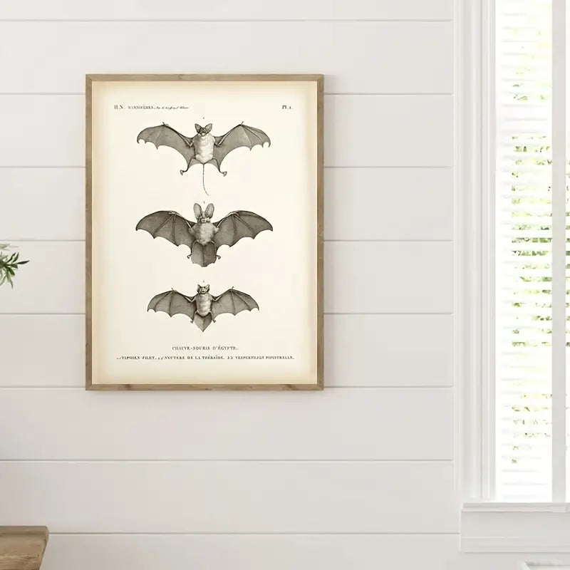 Vintage Bat Print