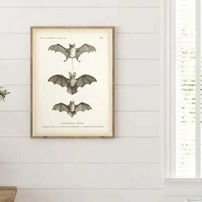 Vintage Bat Print