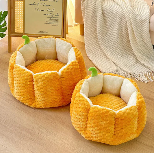 Two yellow pumpkin-shaped pet beds on a wooden floor with a blanket and plant in the background.